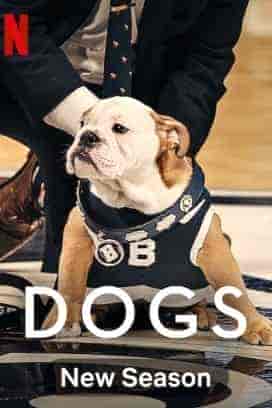 مسلسل Dogs الموسم الثاني الحلقة 3 الثالثة مترجمة