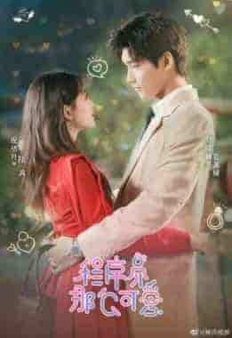 مسلسل مبرمج لطيف Cute Programmer الحلقة 23 مترجمة