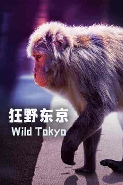 فيلم Wild Tokyo 2020 مترجم اون لاين