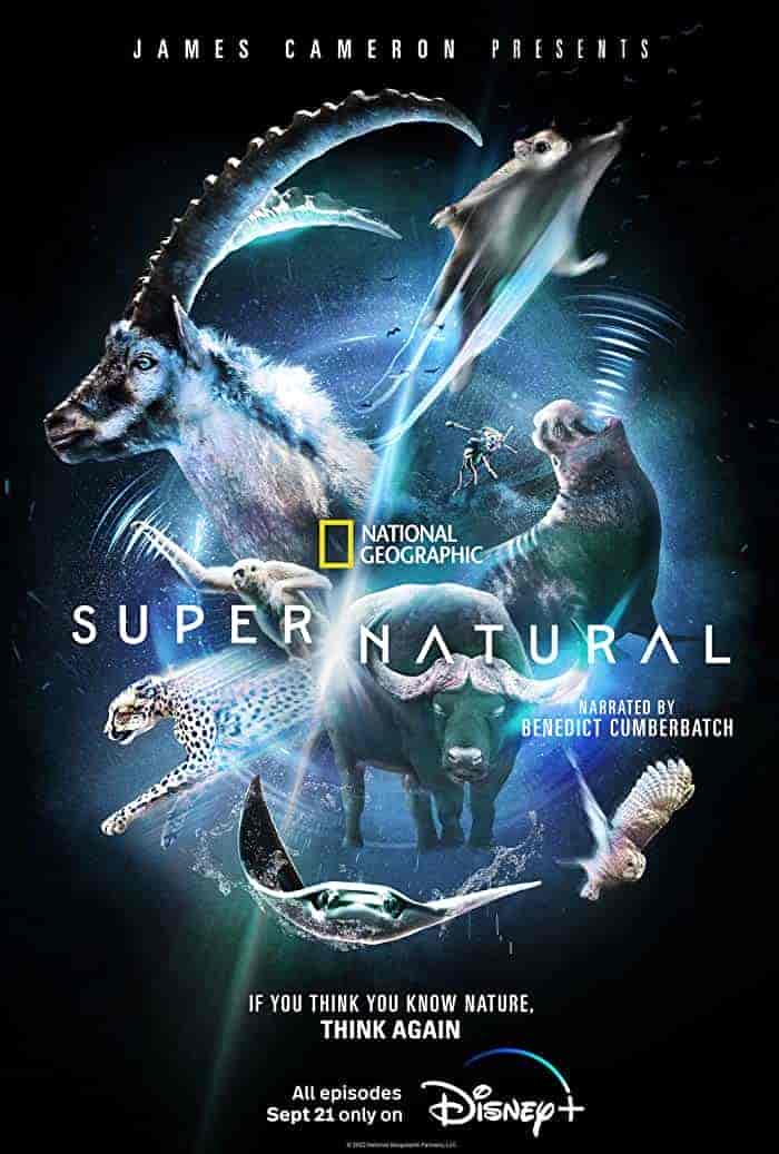 مسلسل Super Natural الموسم الاول الحلقة 4 الرابعة مترجمة
