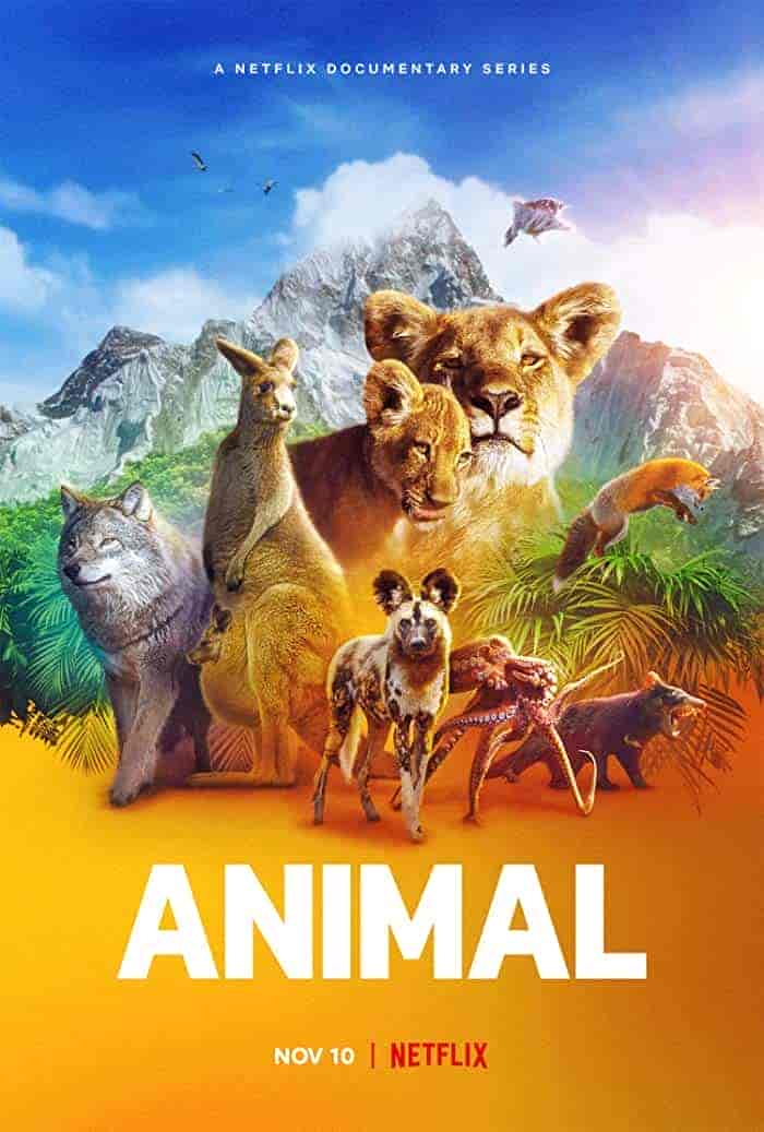 مسلسل Animal الموسم الثاني الحلقة 2 الثانية مترجمة